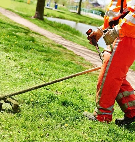 Стрижка газона в Нефтеюганске